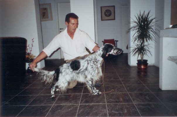 Alessio Allegrucci fondatore Sibilla Dog Food