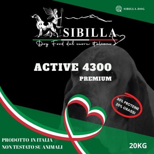 Icona Sibilla dog food active 4300