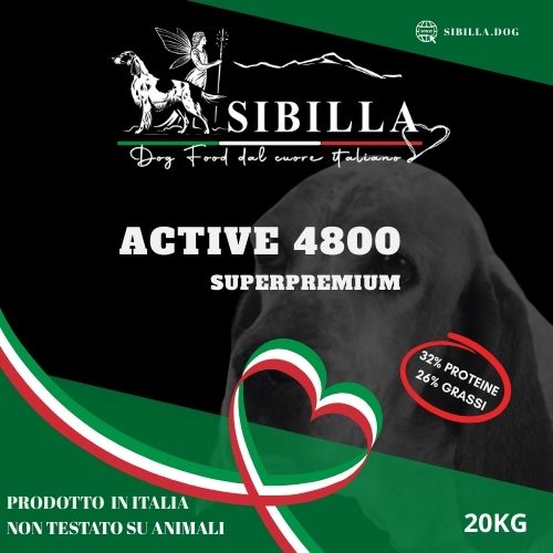 Icona Sibilla dog food active 4800