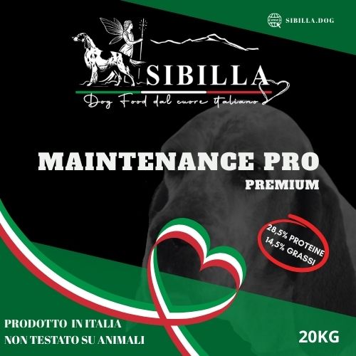 Icona Sibilla dog food maintenance pro