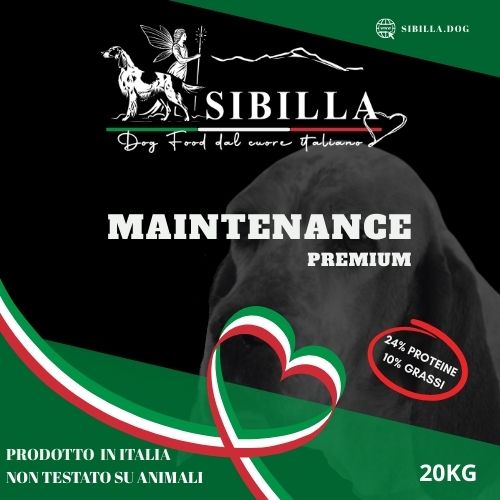 Icona Sibilla dog food maintenance