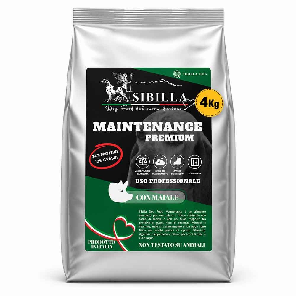 Sacco 4 Kg Crocchette Premium Maintenance - Cane Adulto a riposo